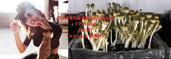 MDMA Дмитров