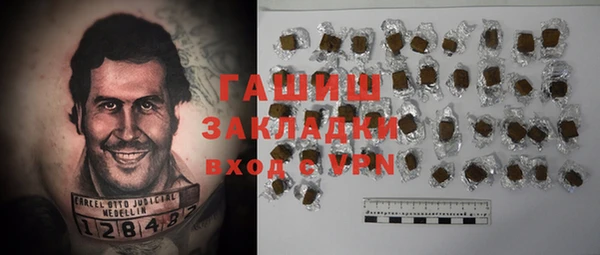 прущие грибы Дмитровск