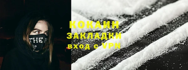 прущие грибы Дмитровск
