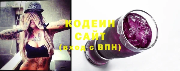 прущие грибы Дмитровск