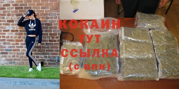 прущие грибы Дмитровск
