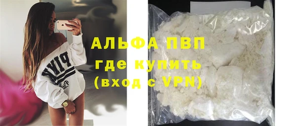 прущие грибы Дмитровск