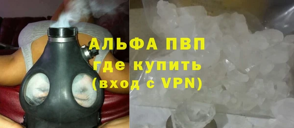 прущие грибы Дмитровск
