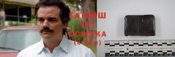 прущие грибы Дмитровск