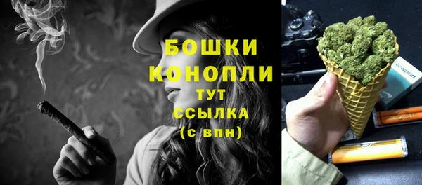 прущие грибы Дмитровск