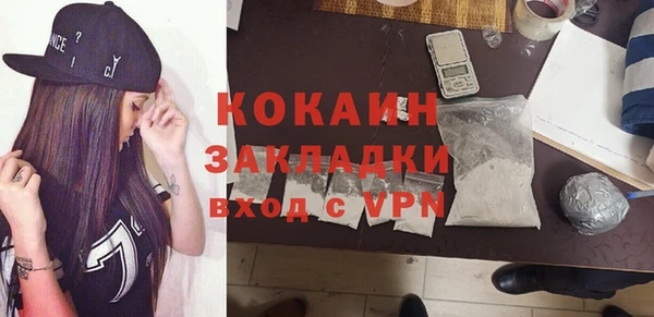 прущие грибы Дмитровск