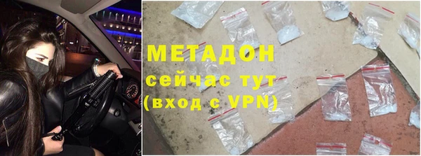 прущие грибы Дмитровск